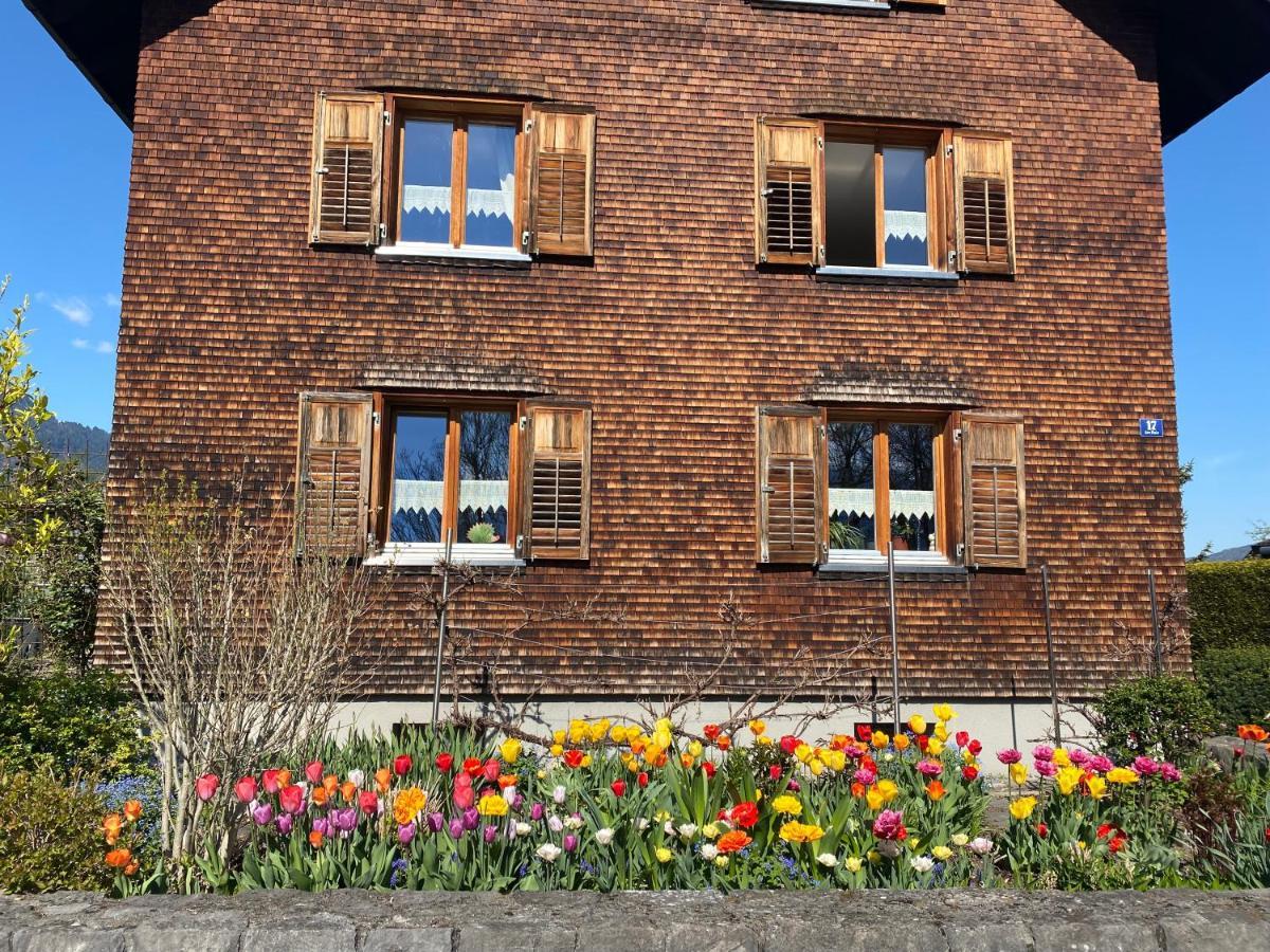 Mama Kaethe - Apartments Nenzing Buitenkant foto